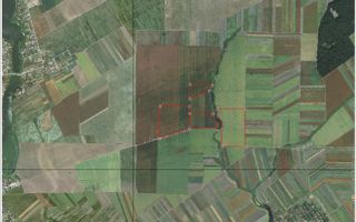 HUB Energetic & Agricol: 50 Ha Compacte | Direct A2 | Fundeni,CălărașI - Poză 2