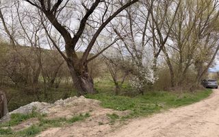 Comision 0! | Casă + teren generos | 2600 m² | Oportunitate unică - Faureni - Poză 35