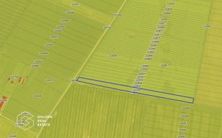 Teren agricol, 14 630 mp, Vladimirescu, ZERO COMISION - Poză 2