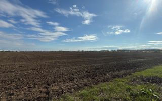 TEREN 26.500 mp -BUFTEA - INDUSTRIAL / COMERCIAL - Poză 7