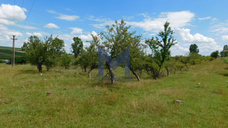 Teren 3860 mp lângă salba de lacuri a Acumulării Piscicole Mărtinești - Poză 10