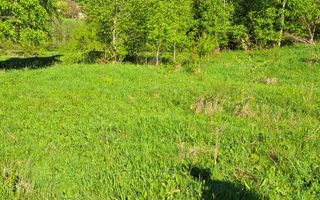 Teren extravilan de vanzare, Bistrita Bargaului- 10 minute de Colibita - Poză 16