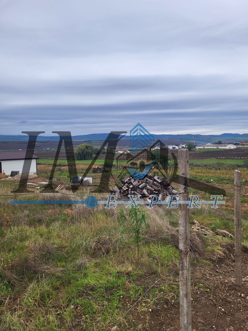 TEREN INTRAVILAN DE VANZARE IN CUT - Poză 4