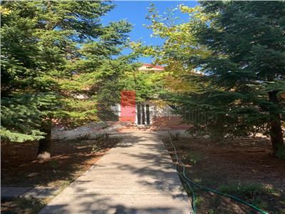 Vanzare Casa  Pipera - Poză 12