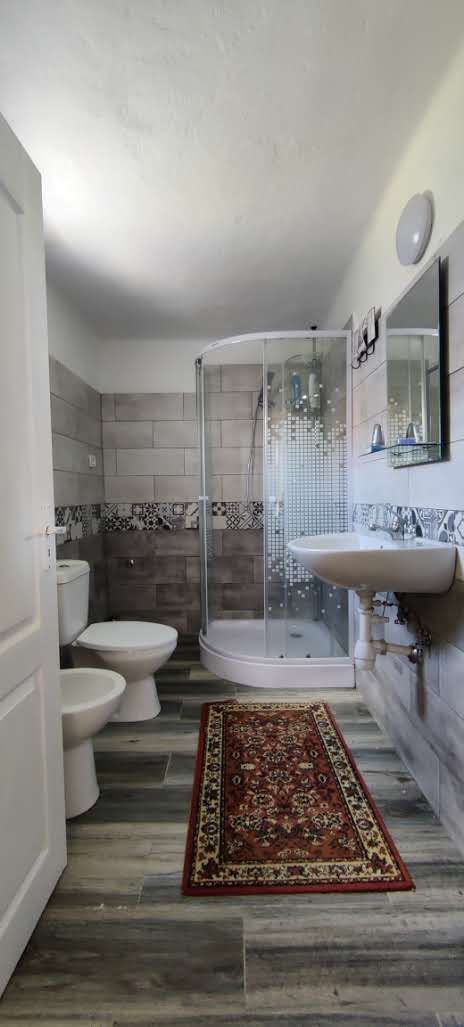 CASA RECAS CU 1438 MP TEREN - Poză 10