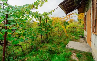 Lot pomicol de 6 ari în Ialoveni, cu construcție auxiliară. - Poză 15