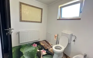 Casă individuală 4 camere de vânzare | Șura Mare | 344 mp - Poză 19