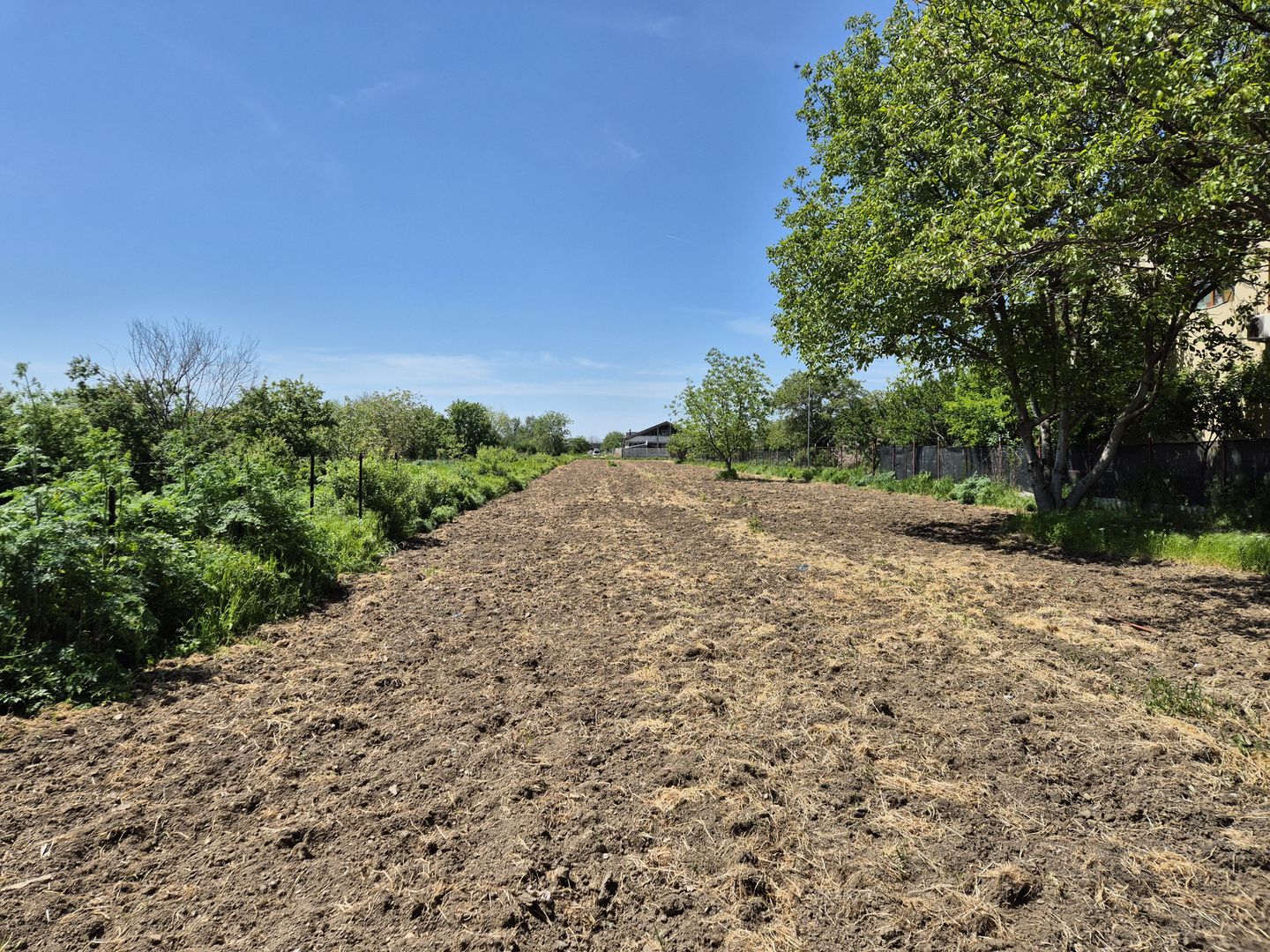 Teren intravilan 2658 mp - 1 Decembrie, Ilfov - Poză 2