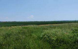 Teren extravilan agricol în Urseni - Poză 1