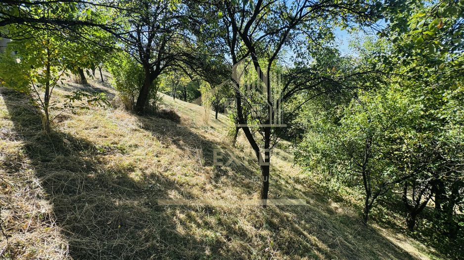 TEREN INTRAVILAN 3234 MP LEREȘTI VOINEȘTI ARGEȘ - Poză 32