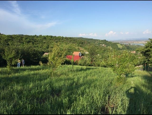 Teren Intravilan Podgoria - Poză 7