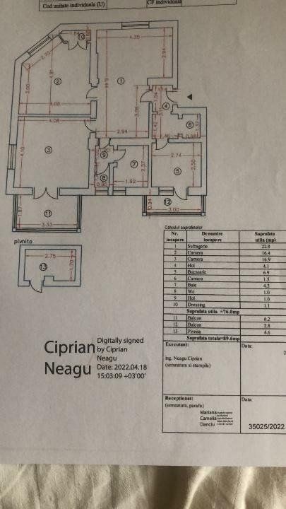 APARTAMENT SUPERB | VILA DOROBANTI - Poză 10