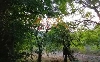 Casa de vacanta 5 camere, teren 1113m2, Bustenari, Prahova - Poză 7