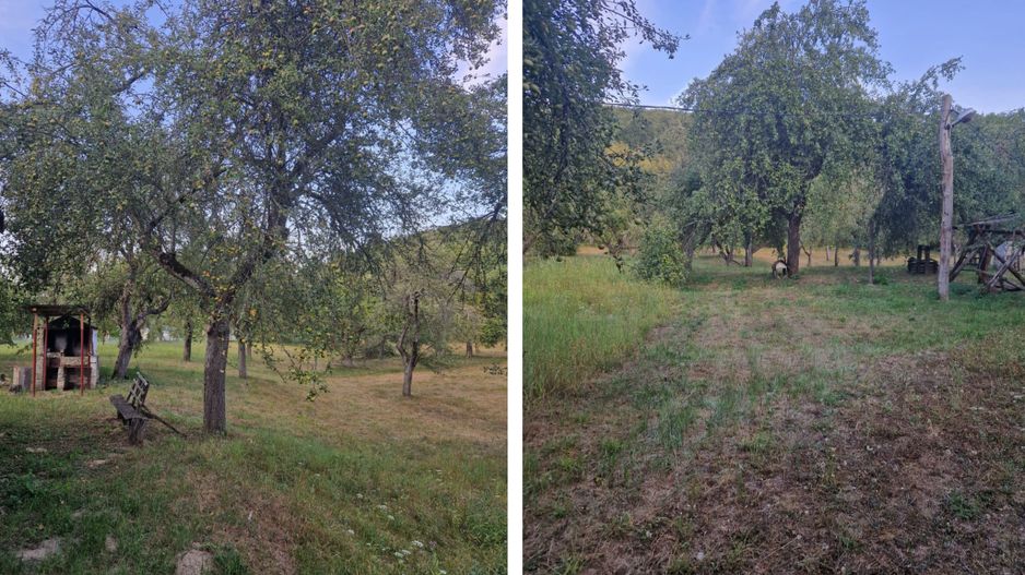 Teren de vacanță 5600 mp cu cabană, Utilitaiile Căsoaia jud Arad - Poză 4