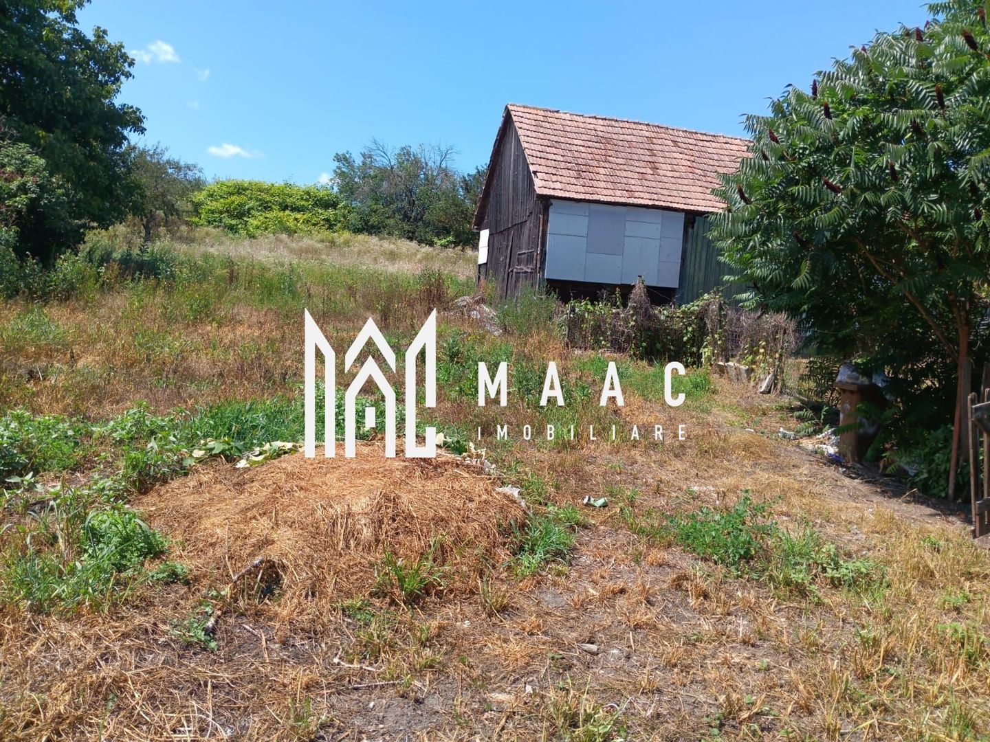 Casa 4 camere | Teren 2000 | Alțâna - Poză 10