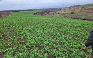 Teren 20500mp I Deschidere 100ml I Compact I Ocna Sibiului - Poză 1