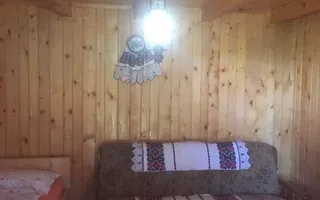 Pensiune cu 6 iazuri și 22 locuri | Peștera Urșilor | Apuseni - Poză 18