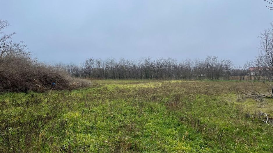 Teren intravilan 3367 mp cu casa demolabile 54 mp puț existent! - Poză 2