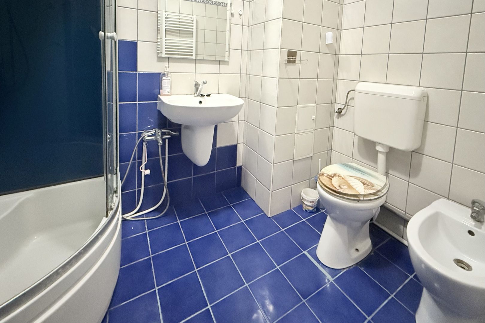 Casă practică, cu curte și parcare, în zona centrală - Parcul Carol - Poză 16