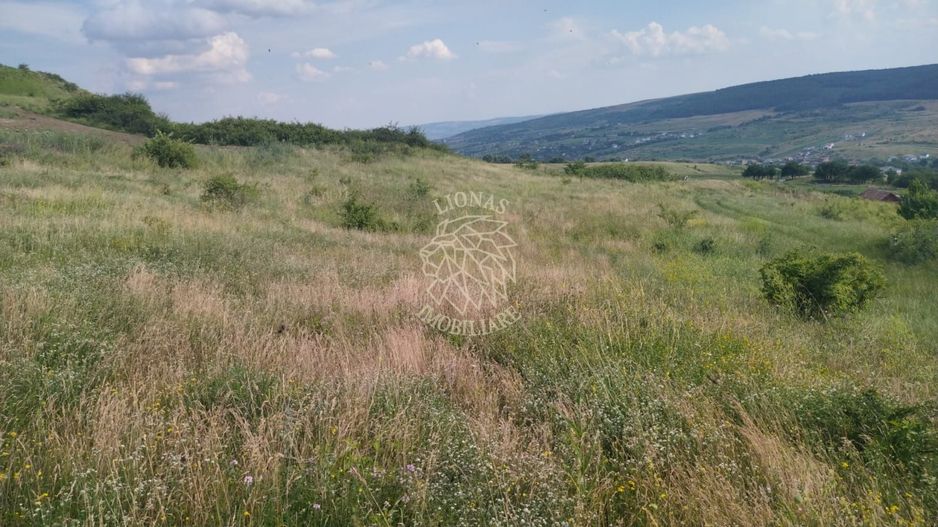 Teren intravilan 7200 mp-ideal cabana-panoramic-Chinteni - Poză 2