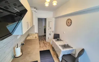 De inchiriat apartament cu 2 camera, Mazepa, BR-uri, etaj 6/10, 450 euro - Poză 13