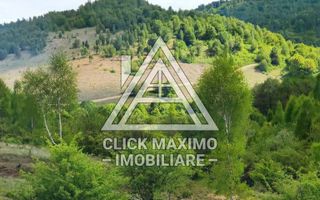 25.000 mp TEREN Ciucea – Calea Lata, jud. Cluj - Poză 7