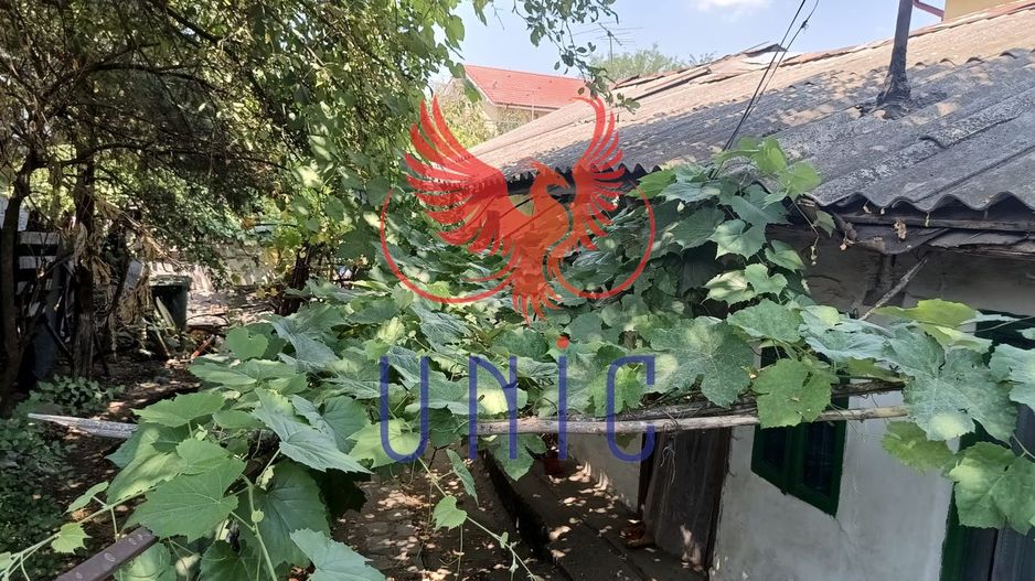 Teren Drumul Muntenilor, 980 mp, 2 deschideri - Poză 6