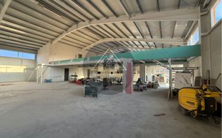 Hală de inchiriat, Medias - Poză 6