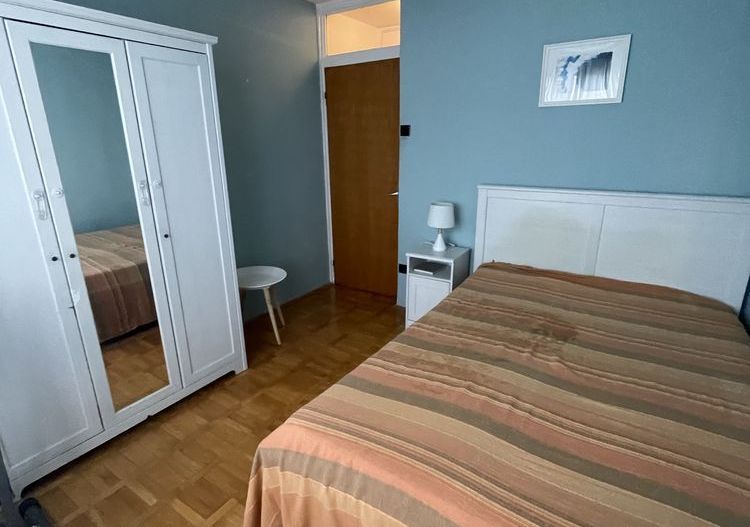 Apartament 3 camere, 2 băi, decomandat, pet friendly - Poză 2