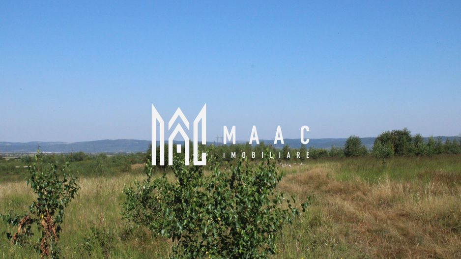TEREN 4500 MP I FANEATA I PARC FOTOVOLTAIC I ARPASUL DE SUS - Poză 3