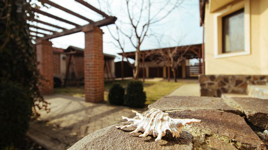 Casă nouă, intrare Stupini - Poză 15