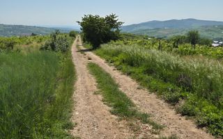 Teren intravilan de vânzare în comuna Tomesti - Poză 3