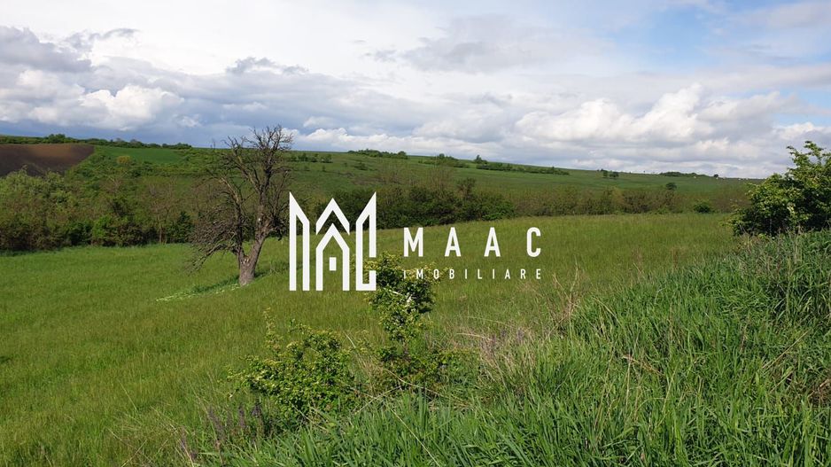 Teren | S+P+E | S+P+M | Intravilan | 9826 MP | Sura Mare - Poză 3