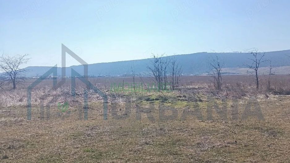 Teren arabil 1 ha în Cilibiu, Golaiesti - Poză 4