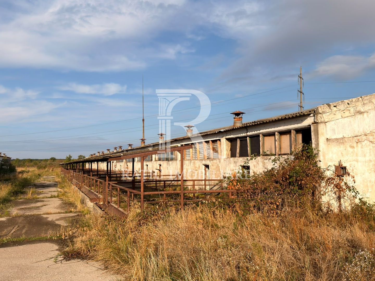 Fermă Sărand | Bihor | 25.659 mp teren intravilan - Poză 17
