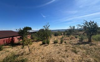 Proprietate de 9.881mp în Dudașul Schelei – Ideal Agroturism sau Fermă - Poză 10