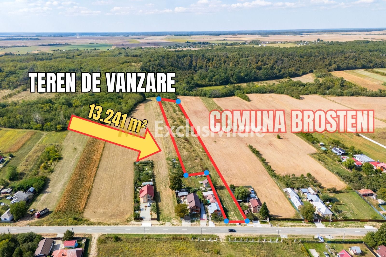 🏭 Teren industrial 13.241 mp | Costești, Argeș - Poză 4