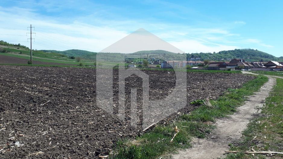 Teren de Vanzare - Extravilan - 23.300mp - Gusterita - 0% Comision - Poză 2