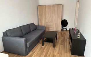 Garsoniera confort 1, etaj 1 , str Louis Pasteur, cartier Zorilor.