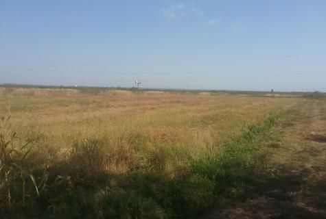 teren comuna Ratesti sat Patuleni  judet Arges - Poză 2