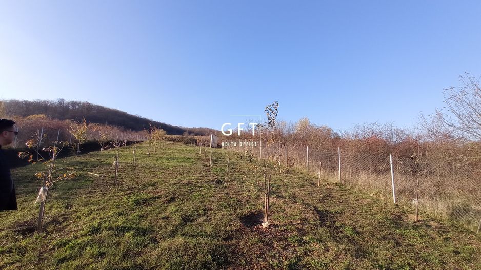 Teren Viisoara 27 ari - Poză 4