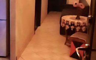 Apartament 2 camere, 58 mp – Dâmbu Pietros (blvd.1848) – Etaj 6/8 - Poză 1