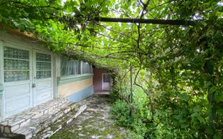 Domeniu 15.900 mp în Fințești | Casă + Investiție Dealu Mare - Poză 4