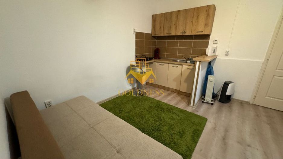 garsoniera, Zona Centrala, UMF, USAMV, Clinicilor, Motilor, Platinia - Poză 2