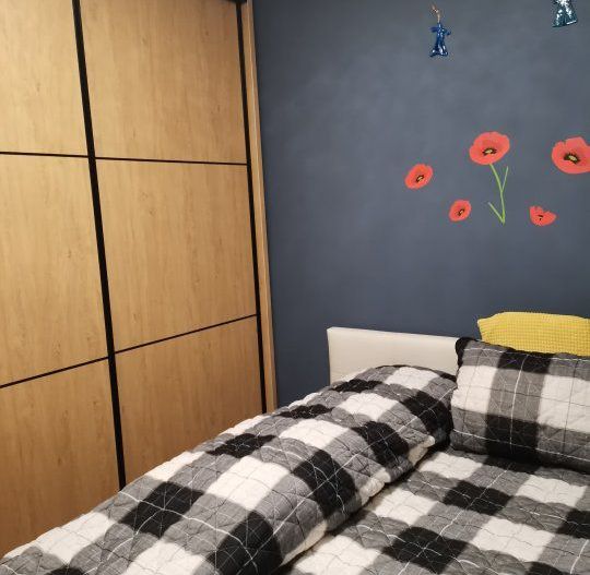 APARTAMENT 2 CAMERE MIHALACHE | CIUPERCA - Schiță 1