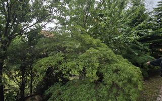 Vila 5 camere LUX Voluntari - Cartier Henri Coanda - Poză 3