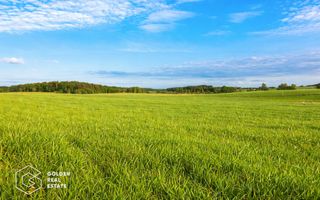 Teren extravilan, 23 400 mp, Cuvin (Ghioroc) - Poză 1