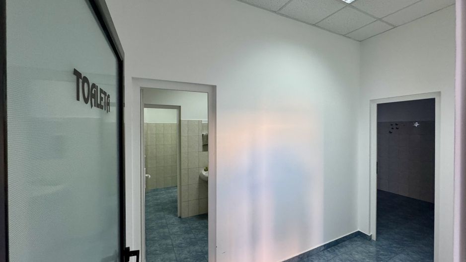 Clădire SAD de închiriat, situată la intrarea în Dumbrăvița - Poză 31