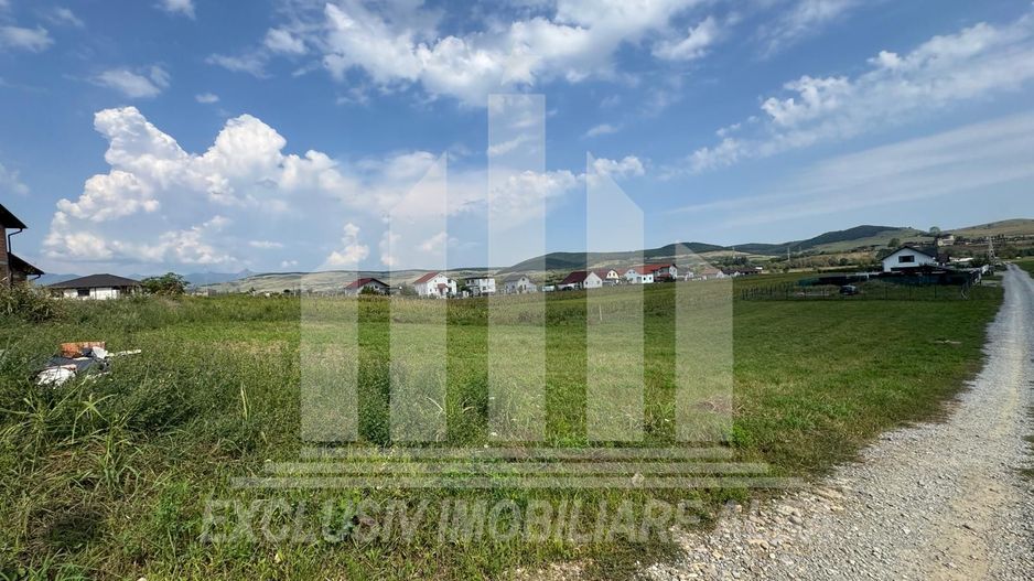 Teren intraviland de vanzare, Orizont - Poză 2