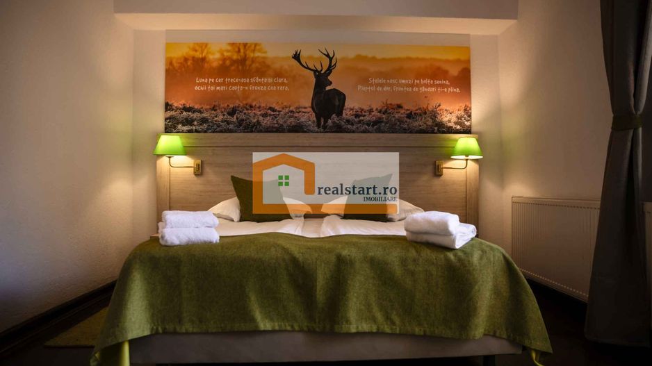 Langa Sighisoara, Inconjurata de Padure, Investitie, ROI min9% - Poză 14